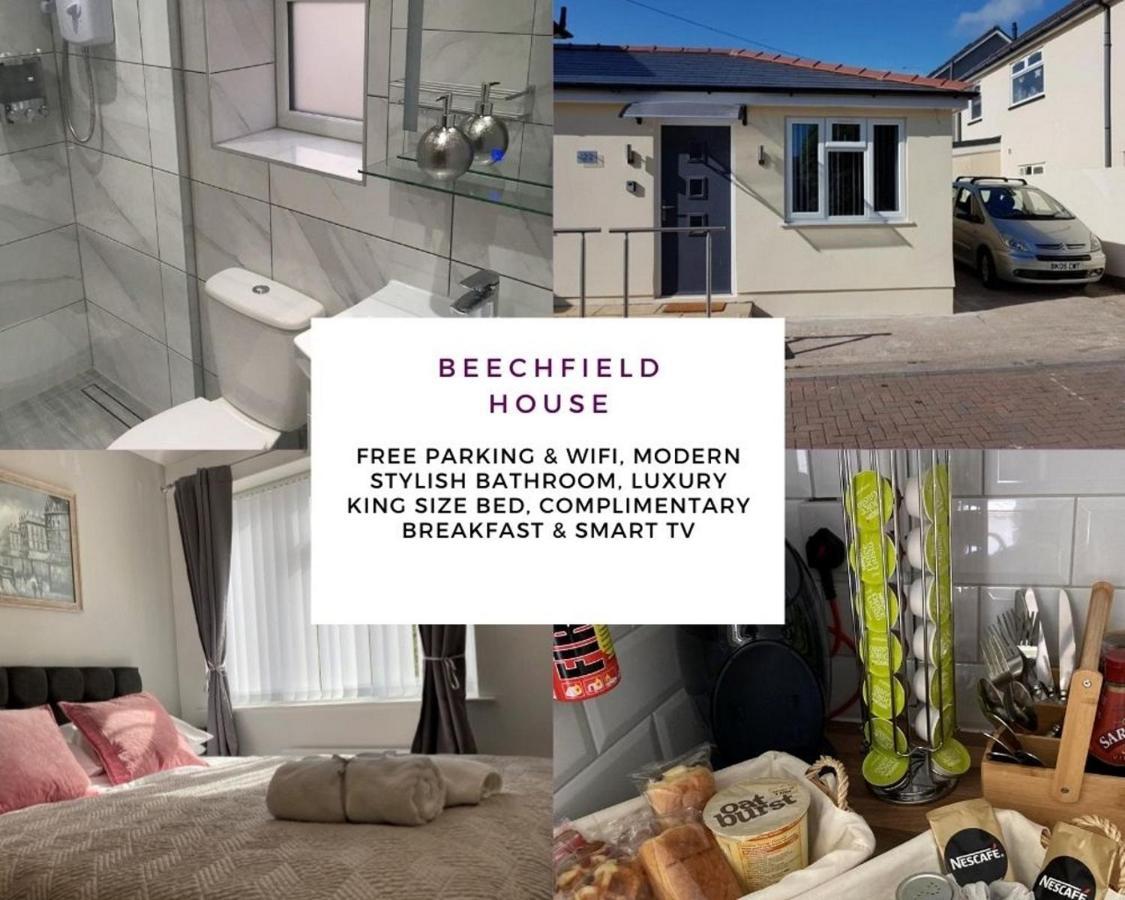 Apartment Beechfield House Modern Studio Self-contained Unit With Free Wifi And Parking And Kitchen Area 4m From Centre And Castle Cardiff