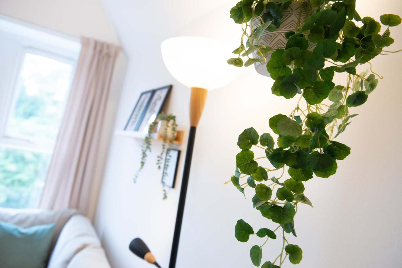 1 Bed Central Loft Near Stadium Apartment *