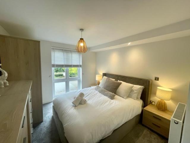 Spacious Two Bedroom In Close To Bay And Apartment Cardiff