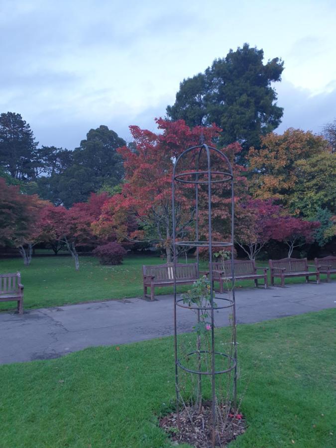 Private Near Roath Lake/park Homestay Cardiff