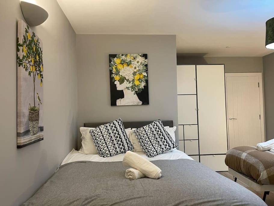 Luxury 2 Bed Centre Duplex With High Ceilings Apartment Cardiff