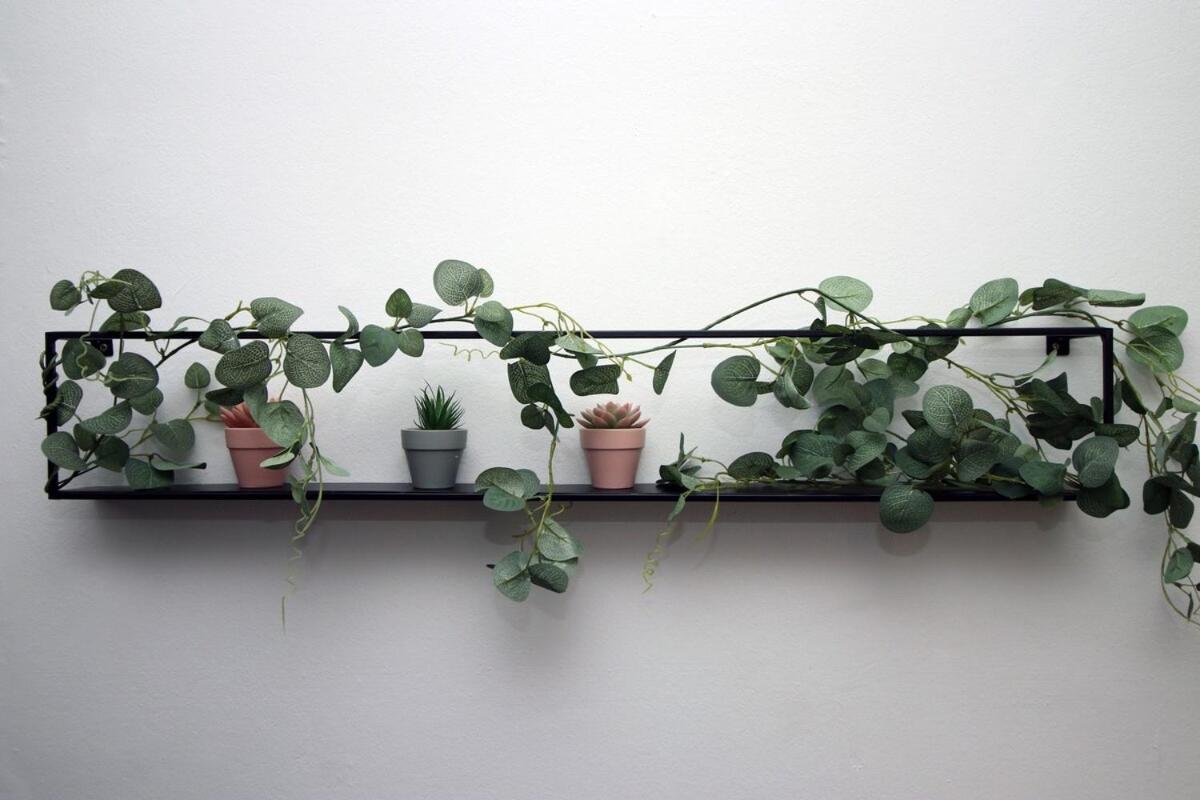 Apartment Albany House By Ty Sa